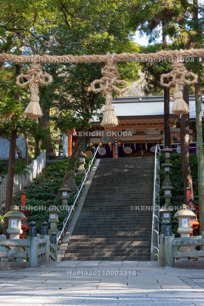 大阪府　枚岡神社　拝殿と参道