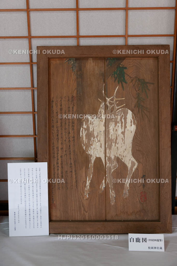 大阪府　枚岡神社　宝物　白鹿図