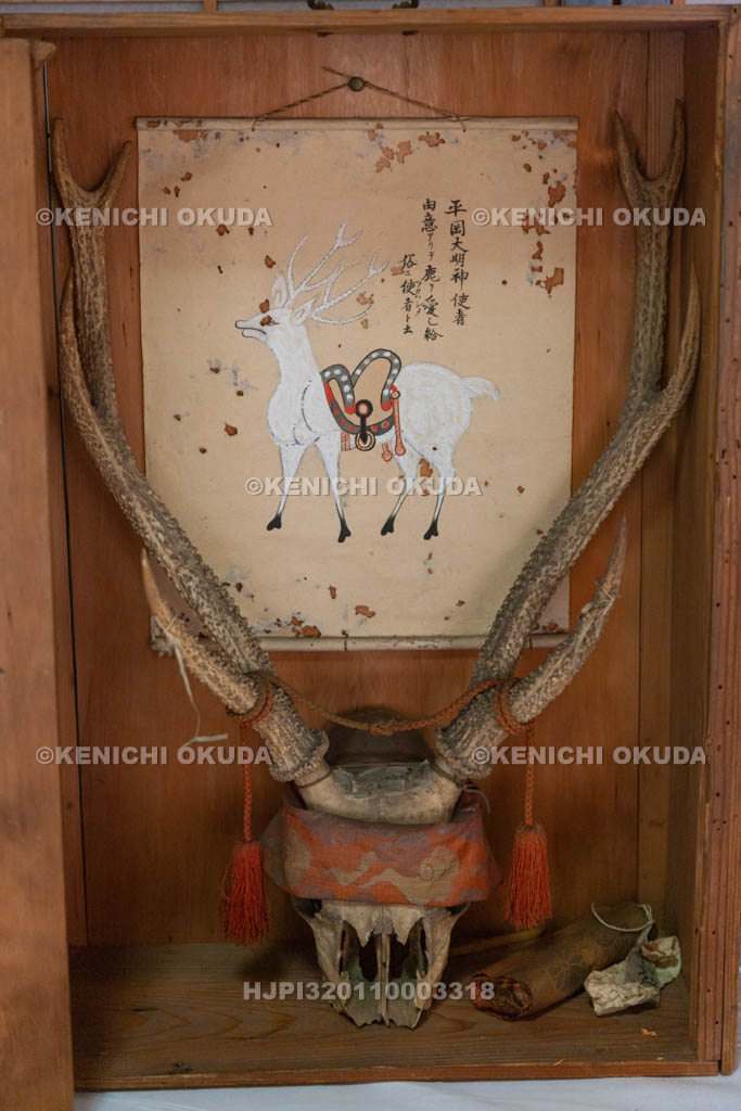 大阪府　枚岡神社　宝物　鹿頭
