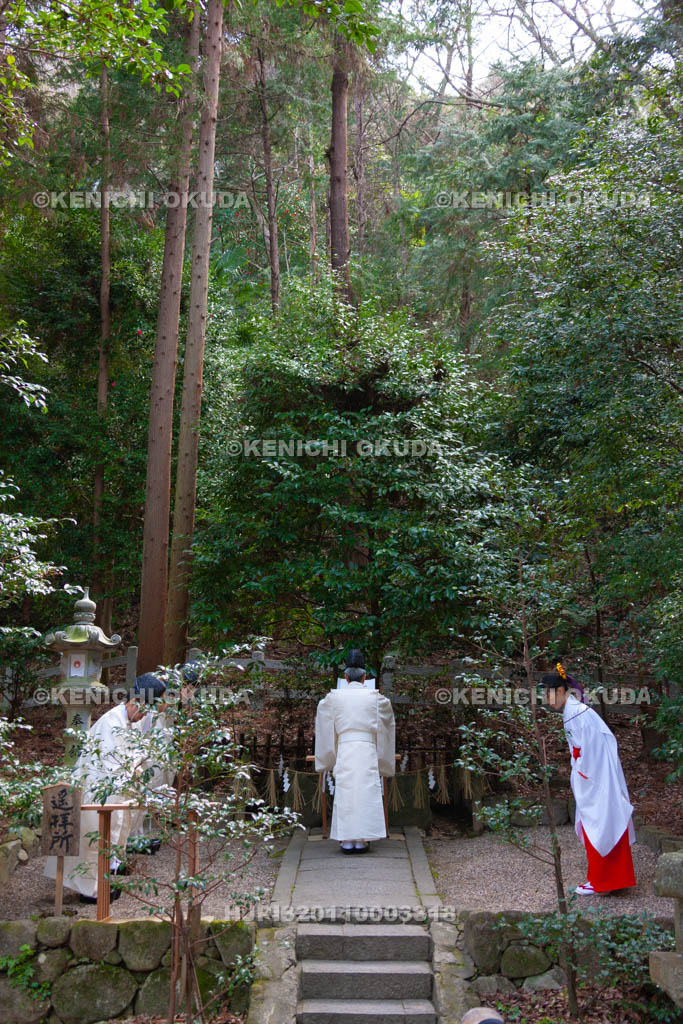 大阪府　枚岡神社　春分祭　祝詞奏上