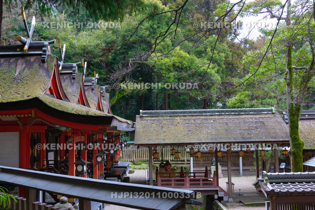 大阪府　枚岡神社　本殿