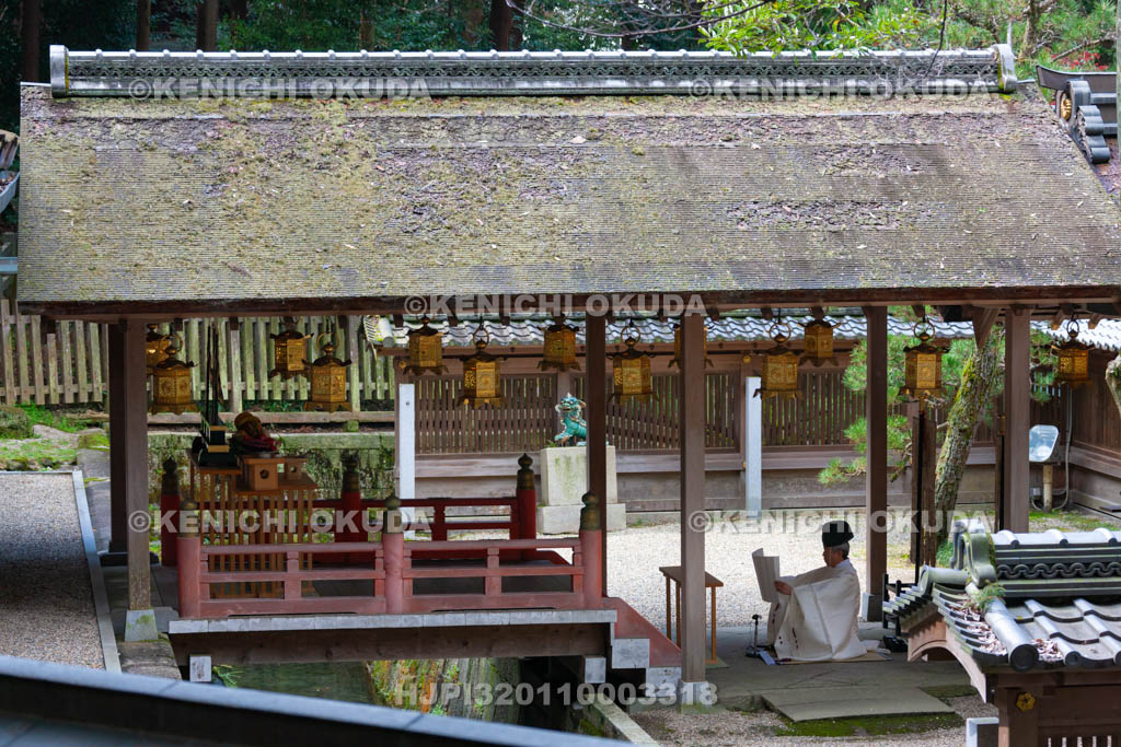 大阪府　枚岡神社　祝詞奏上