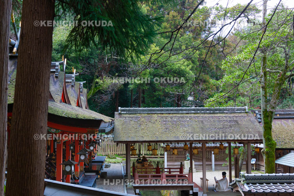 大阪府　枚岡神社　祝詞奏上