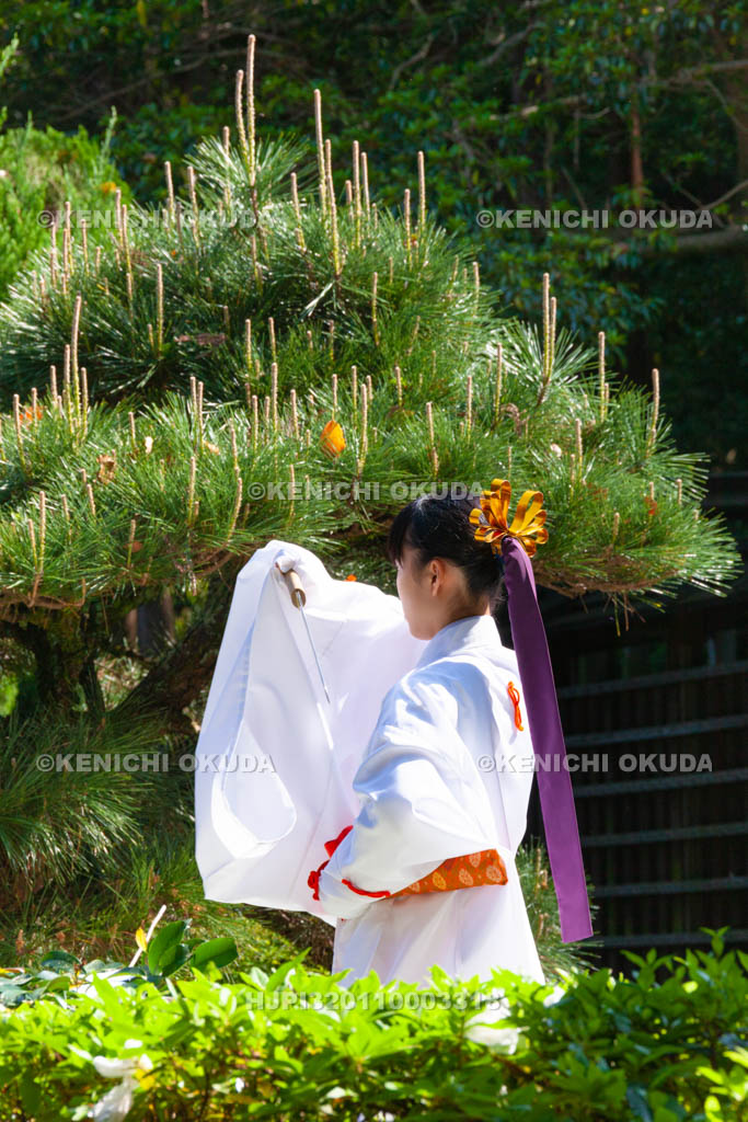 大阪府　枚岡神社　神楽奉奏