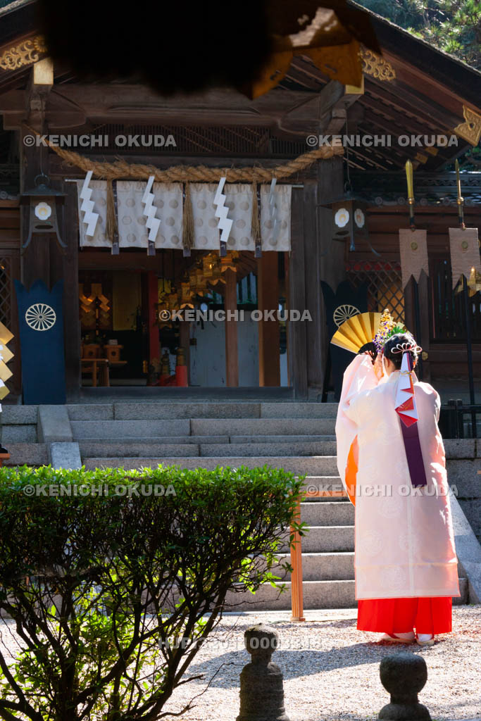 大阪府　枚岡神社　秋郷祭　神楽奉奏