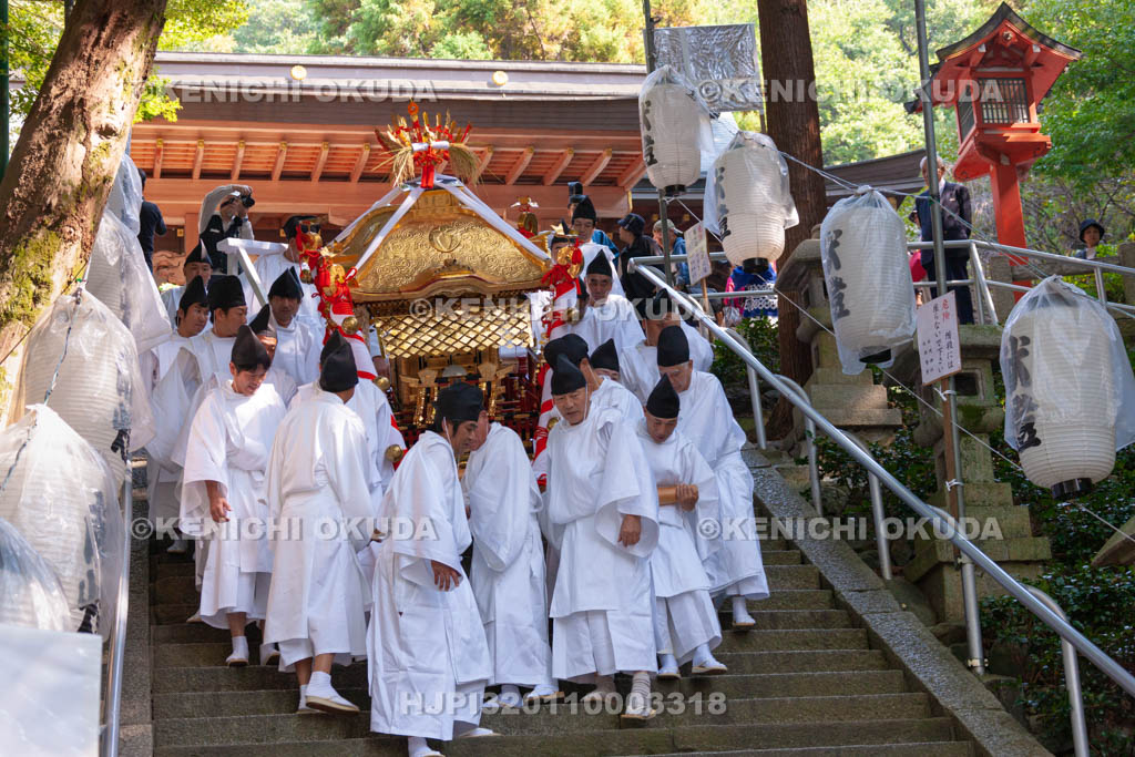 大阪府　枚岡神社　秋郷祭　神幸祭　神輿渡御
