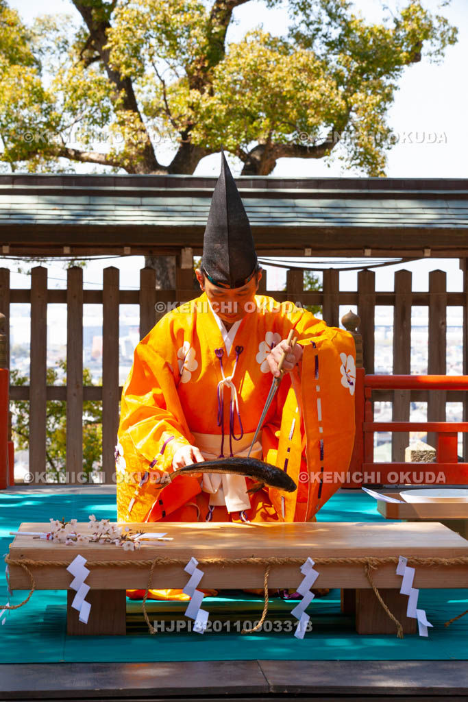 大阪府　四條畷神社　四条流包丁式