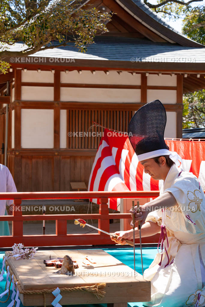 大阪府　四條畷神社　四条流包丁式