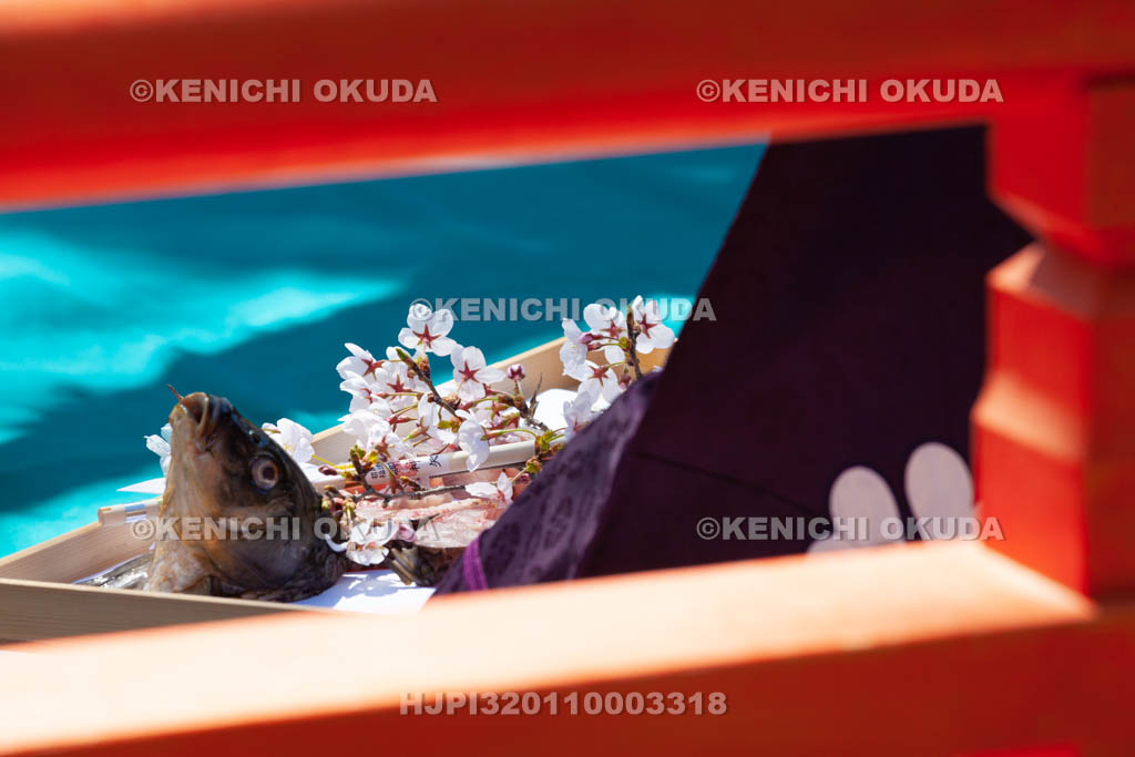 大阪府　四條畷神社　四条流包丁式