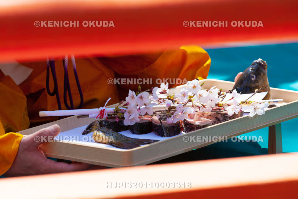 大阪府　四條畷神社　四条流包丁式