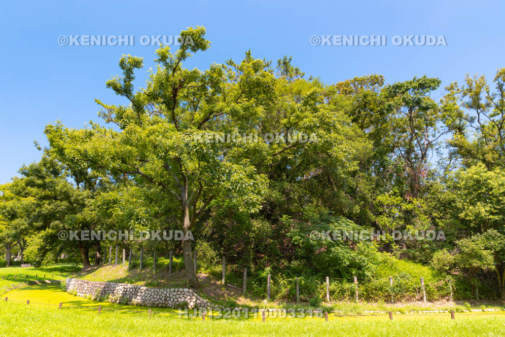 大阪府　大仙公園　竜佐山古墳