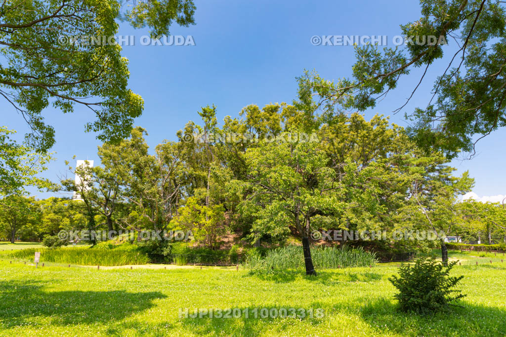 大阪府　大仙公園　孫太夫山古墳
