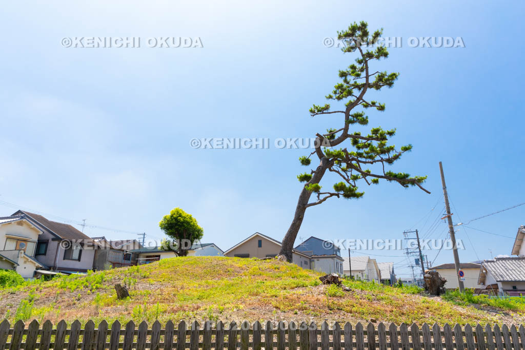 大阪府　菰山塚古墳