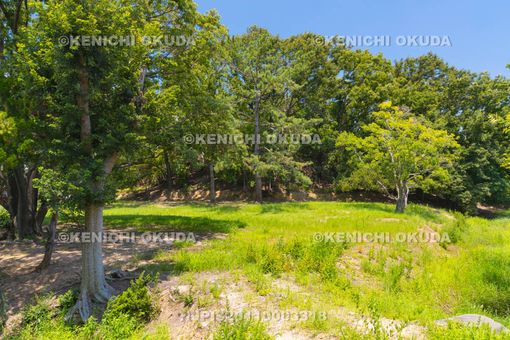 大阪府　丸保山古墳