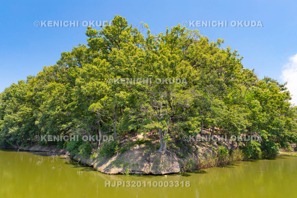 大阪府　永山古墳