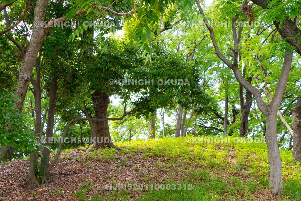 大阪府　収塚古墳