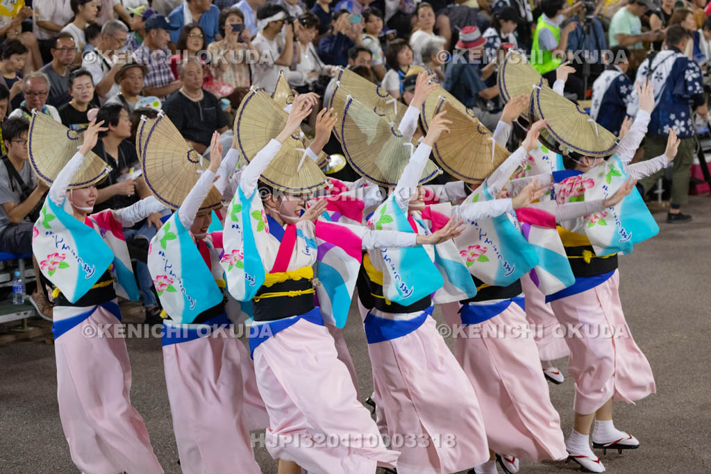 徳島県　阿波おどり