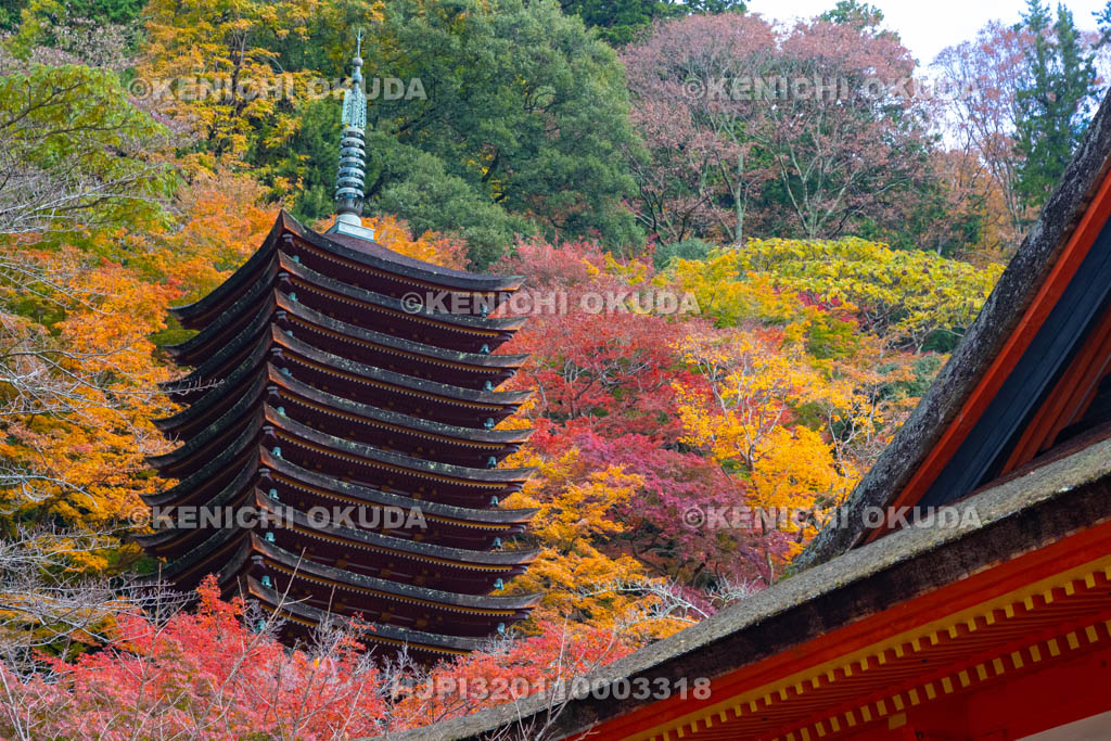 奈良県　談山神社　紅葉と十三重塔