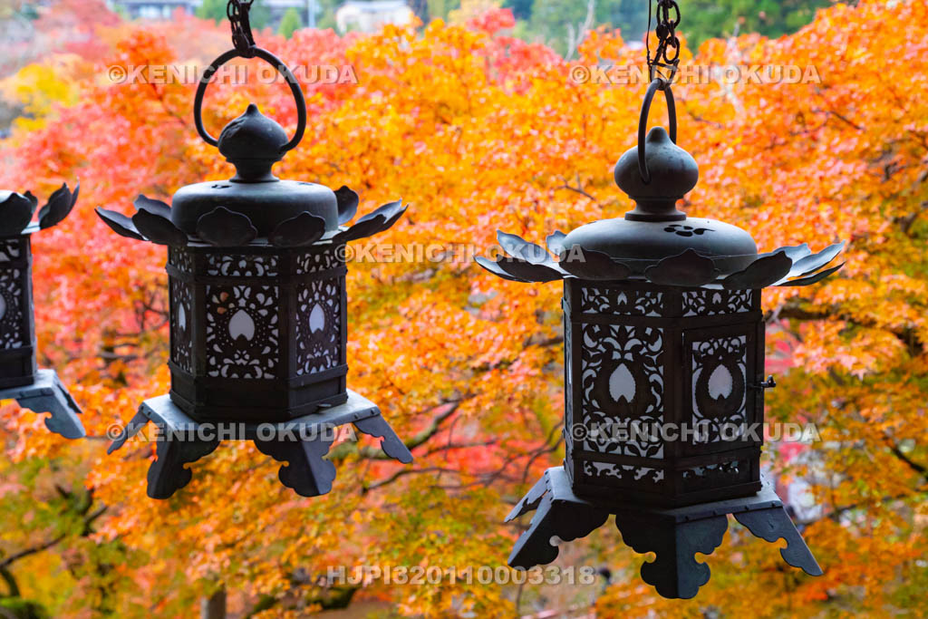 奈良県 談山神社 神廟拝所 紅葉と吊り灯籠
