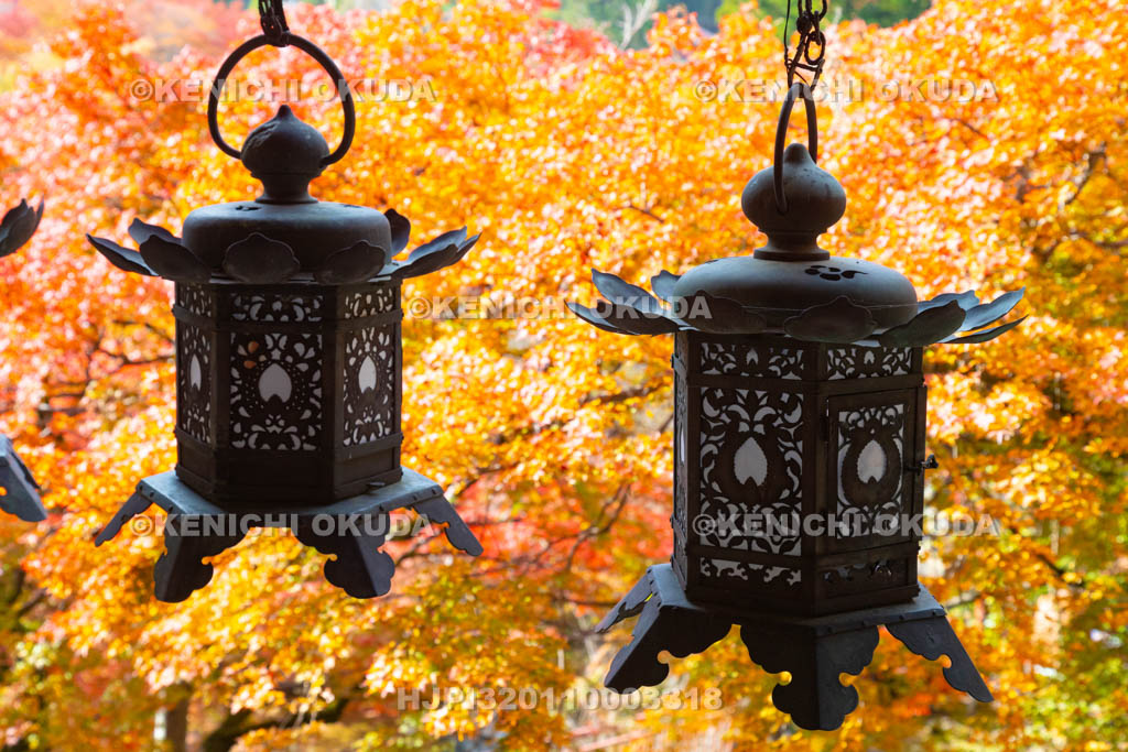 奈良県 談山神社 神廟拝所 紅葉と吊り灯籠
