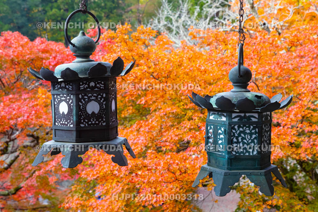 奈良県　談山神社　神廟拝所　紅葉と吊り灯籠