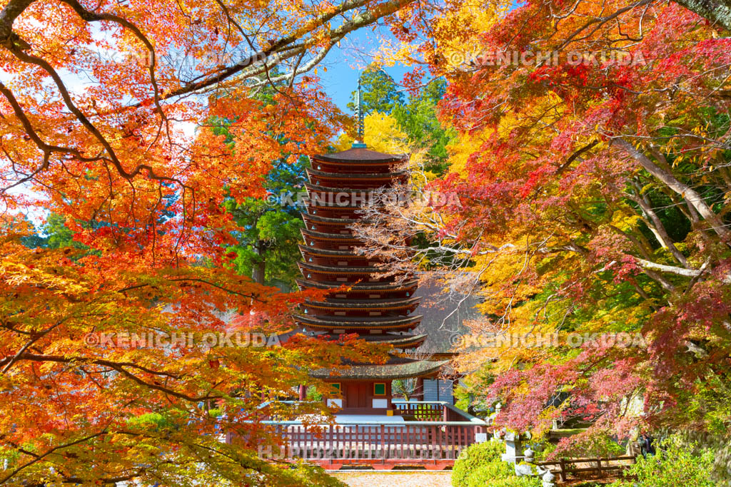 奈良県　談山神社　紅葉と十三重塔