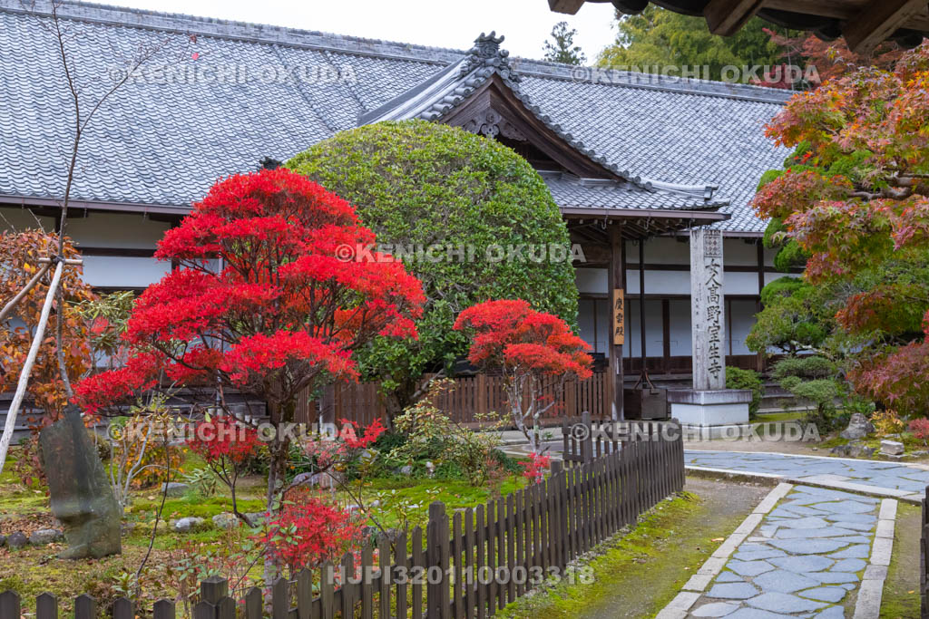 奈良県 室生寺 紅葉と慶雲殿