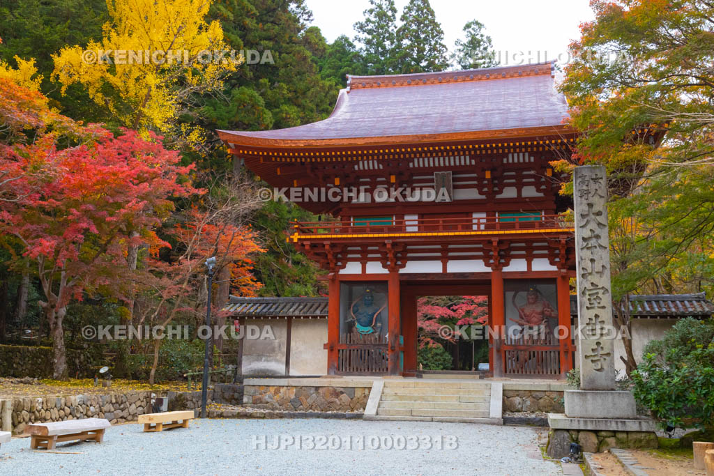 奈良県　室生寺　紅葉と仁王門