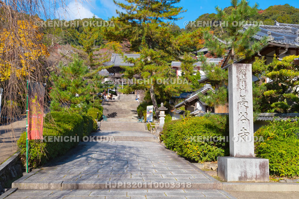 奈良県　長谷寺　参道