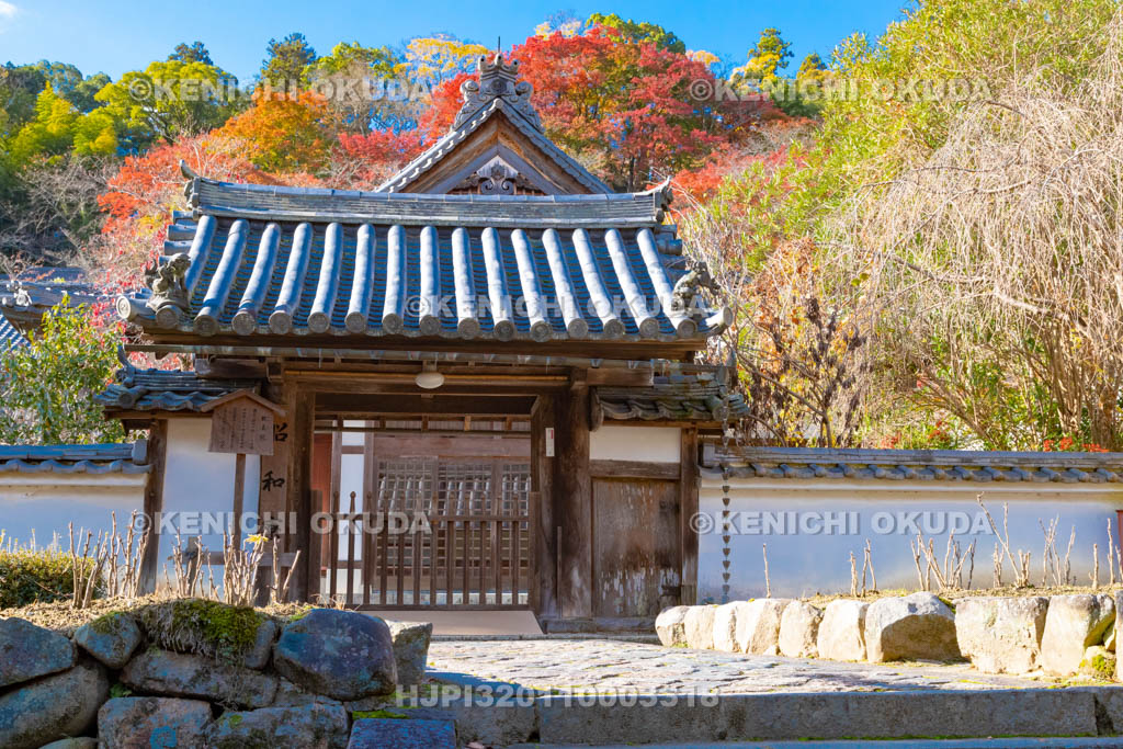 奈良県 長谷寺 紅葉と昭和寮