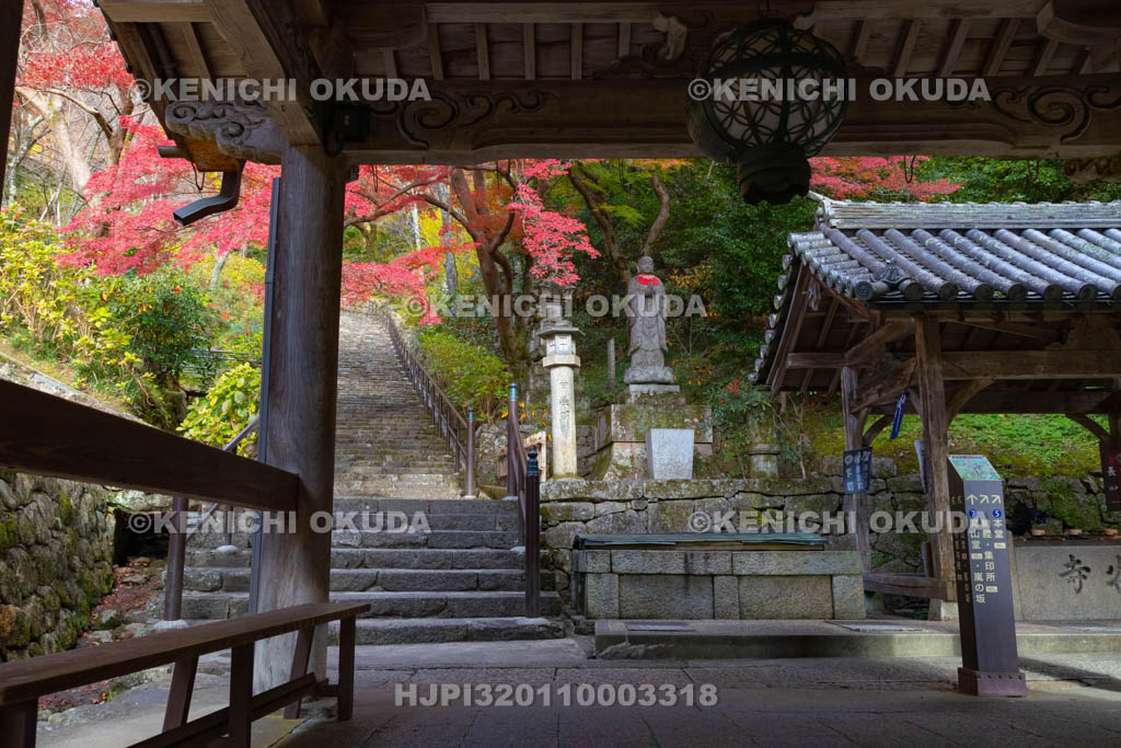 奈良県　長谷寺　紅葉と嵐の坂