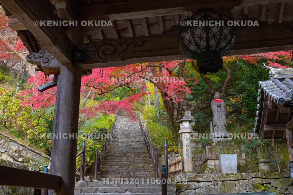 奈良県　長谷寺　紅葉と嵐の坂