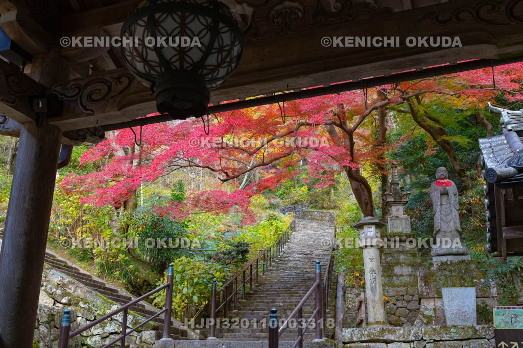 奈良県　長谷寺　紅葉と嵐の坂