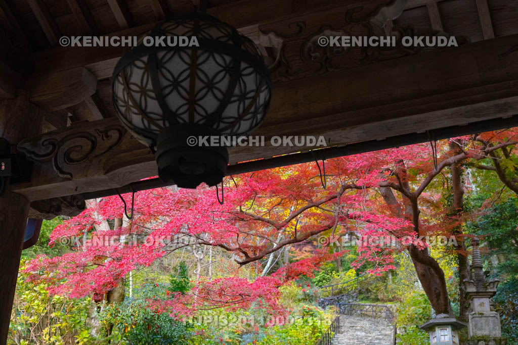 奈良県　長谷寺　紅葉と嵐の坂