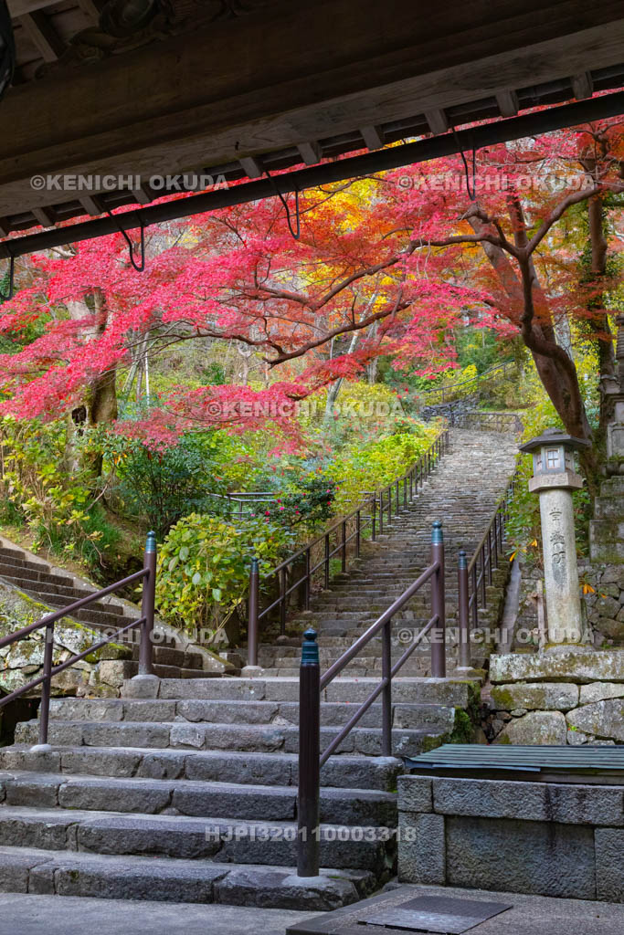 奈良県　長谷寺　紅葉と嵐の坂