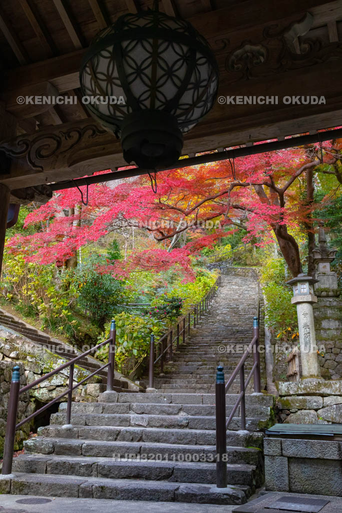 奈良県 長谷寺 紅葉と嵐の坂