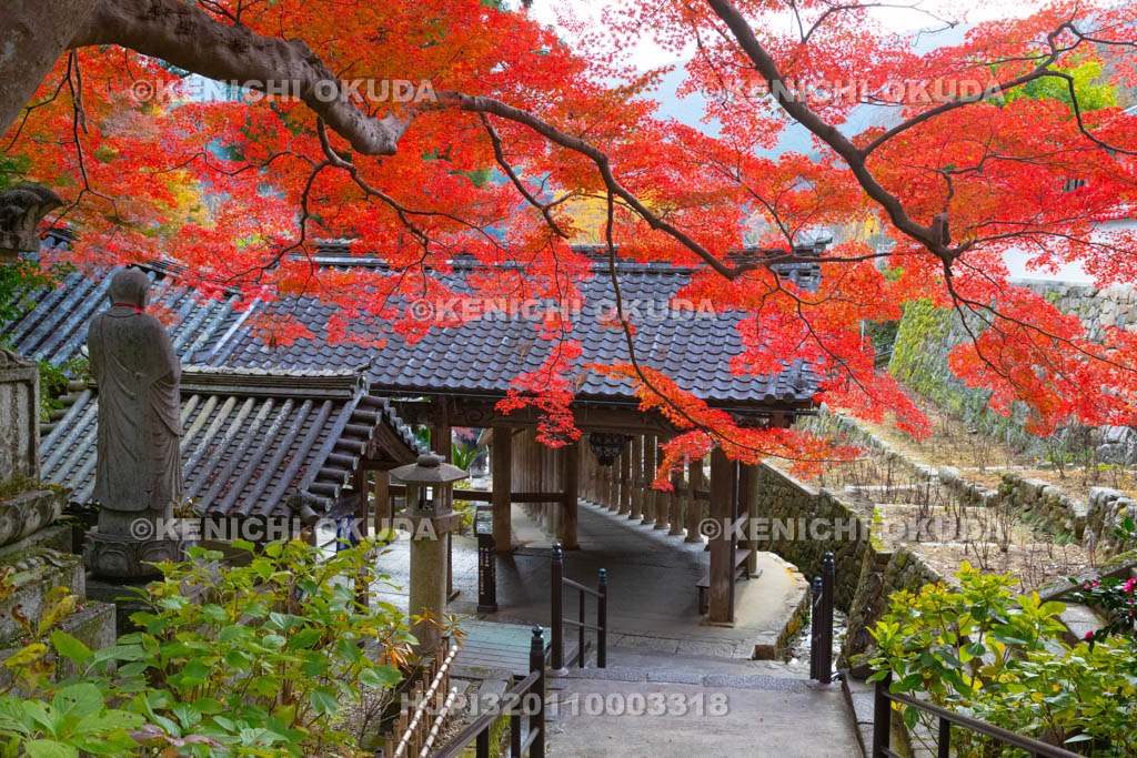 奈良県　長谷寺　紅葉と登廊