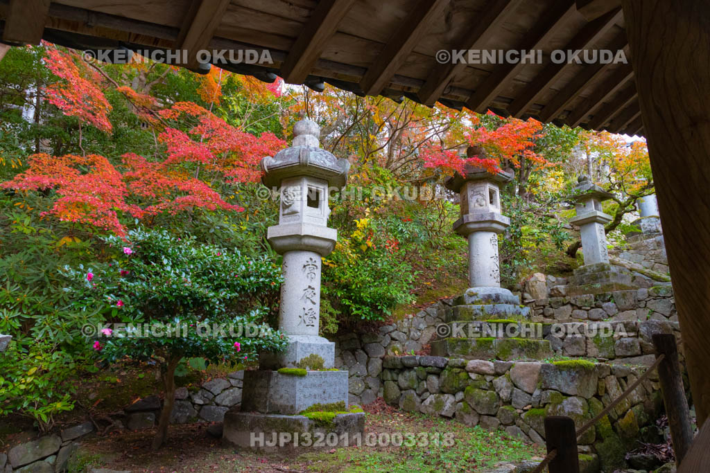 奈良県　長谷寺　紅葉と灯籠