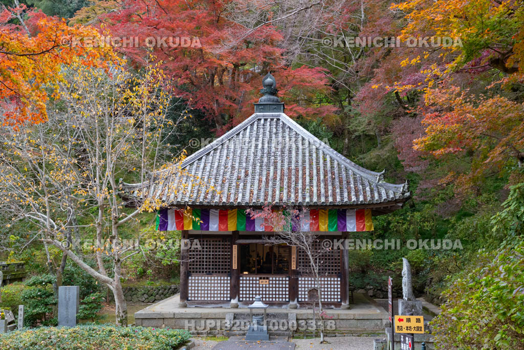 奈良県　長谷寺　紅葉と開山堂