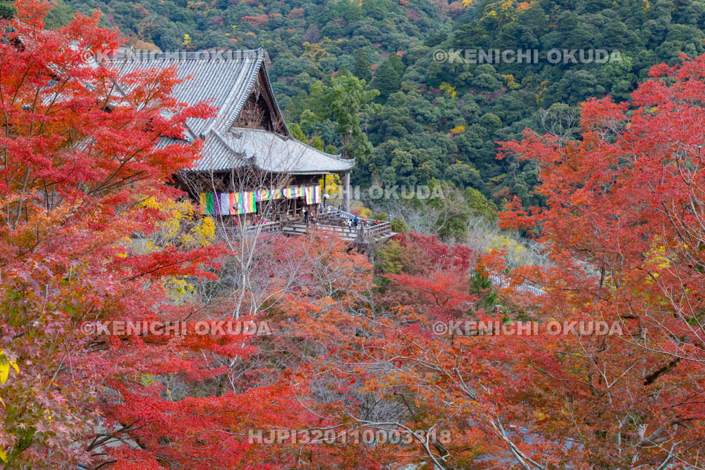 奈良県　長谷寺　紅葉と本堂