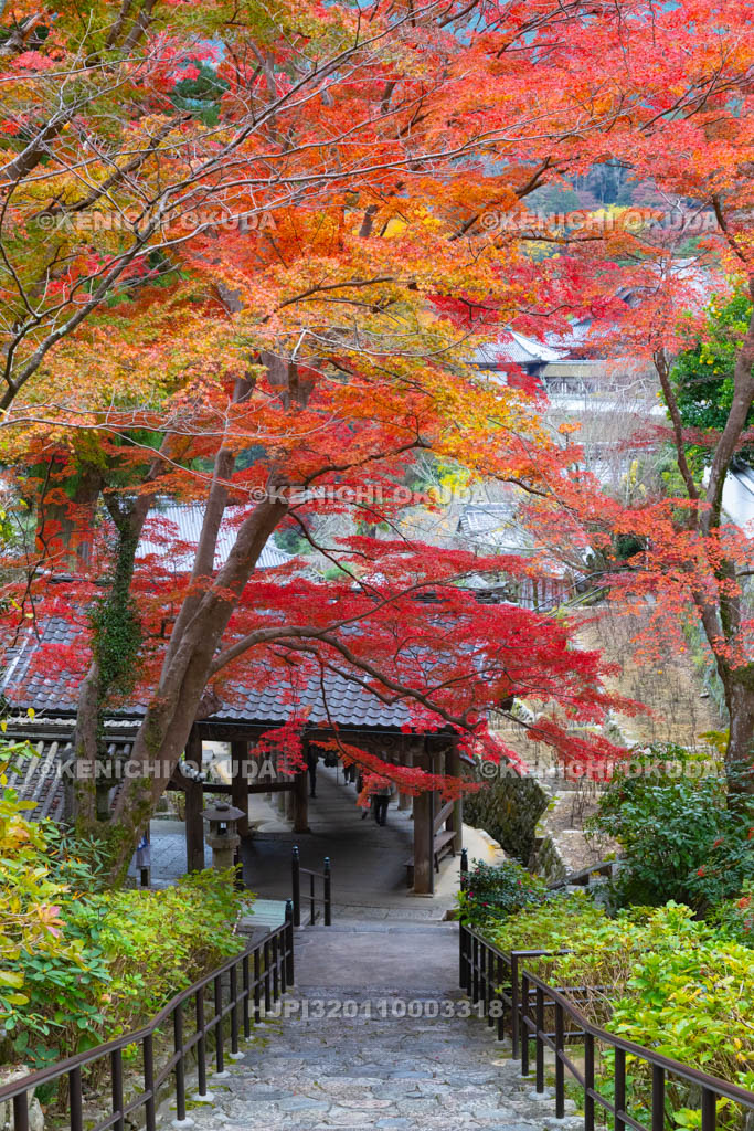 奈良県　長谷寺　紅葉と登廊