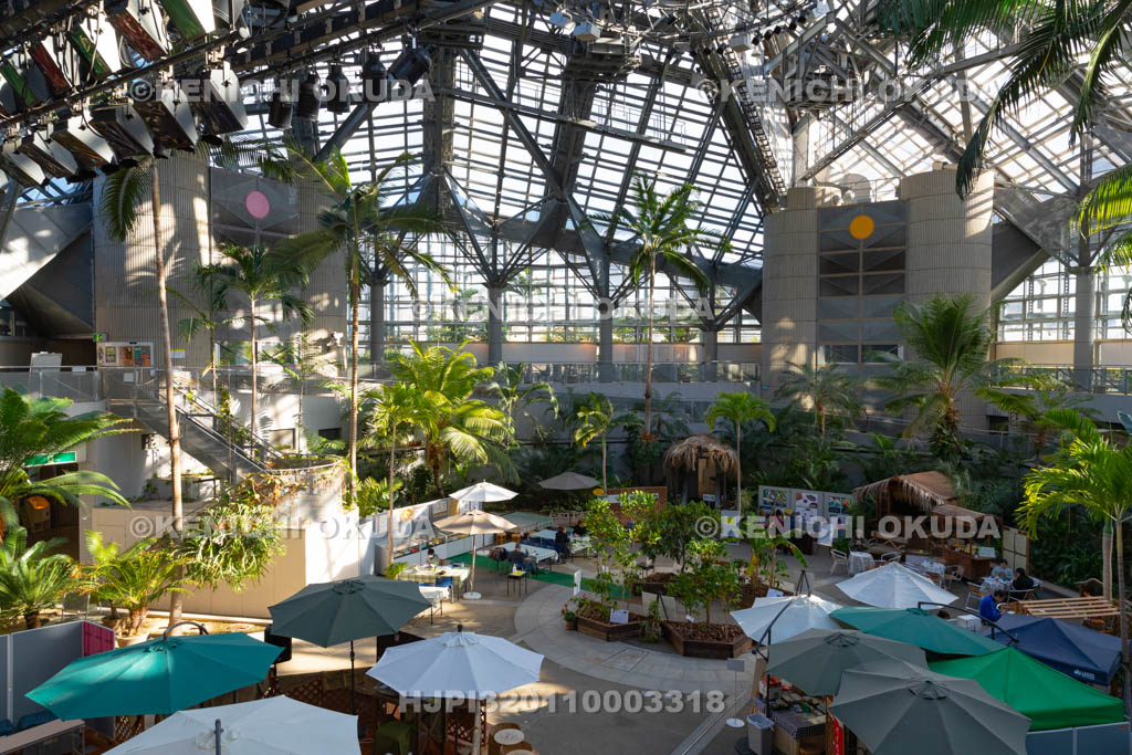 大阪府　花博記念公園鶴見緑地　咲くやこの花館