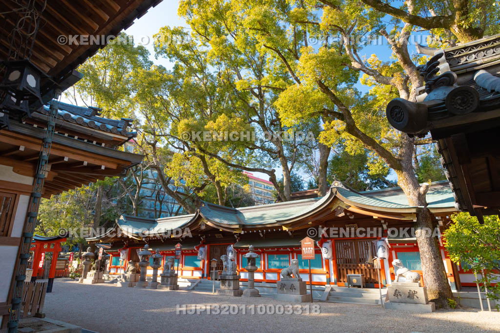 大阪府　杭全神社　拝殿