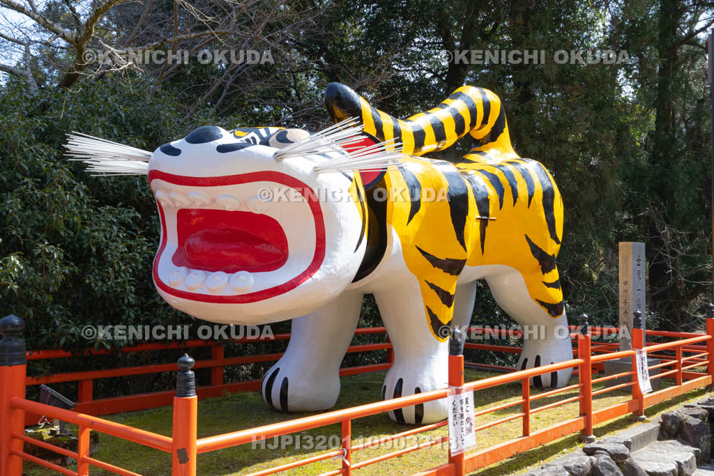 奈良県　信貴山　朝護孫子寺　世界一福寅