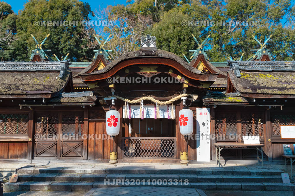 京都府　平野神社　本殿