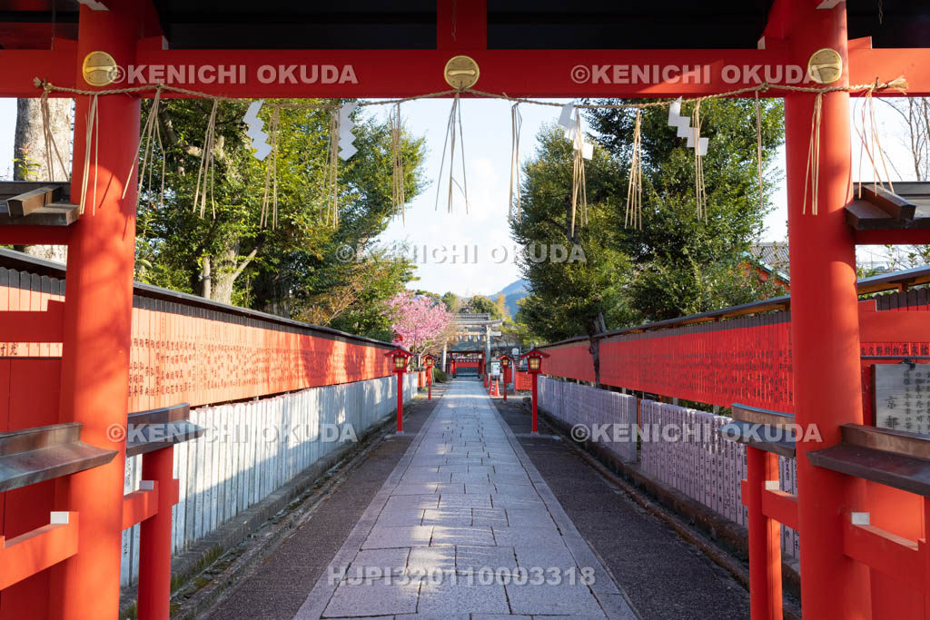京都府 車折神社 参道