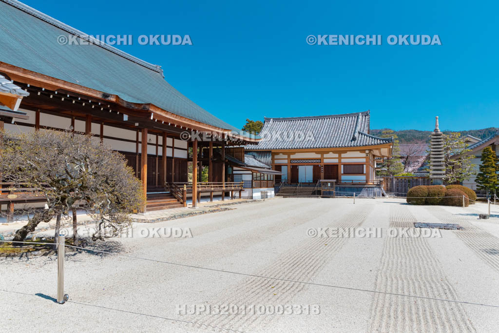 京都府　聖護院門跡　宸殿など