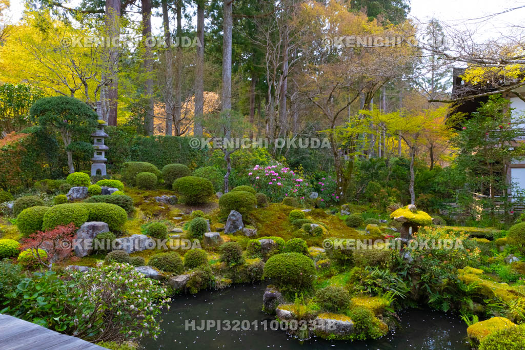 京都府　三千院　聚碧園