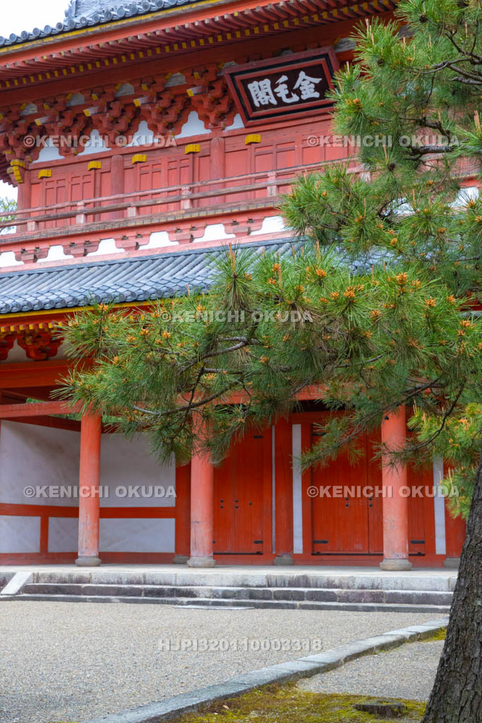 京都府 大徳寺 山門 (金毛閣)