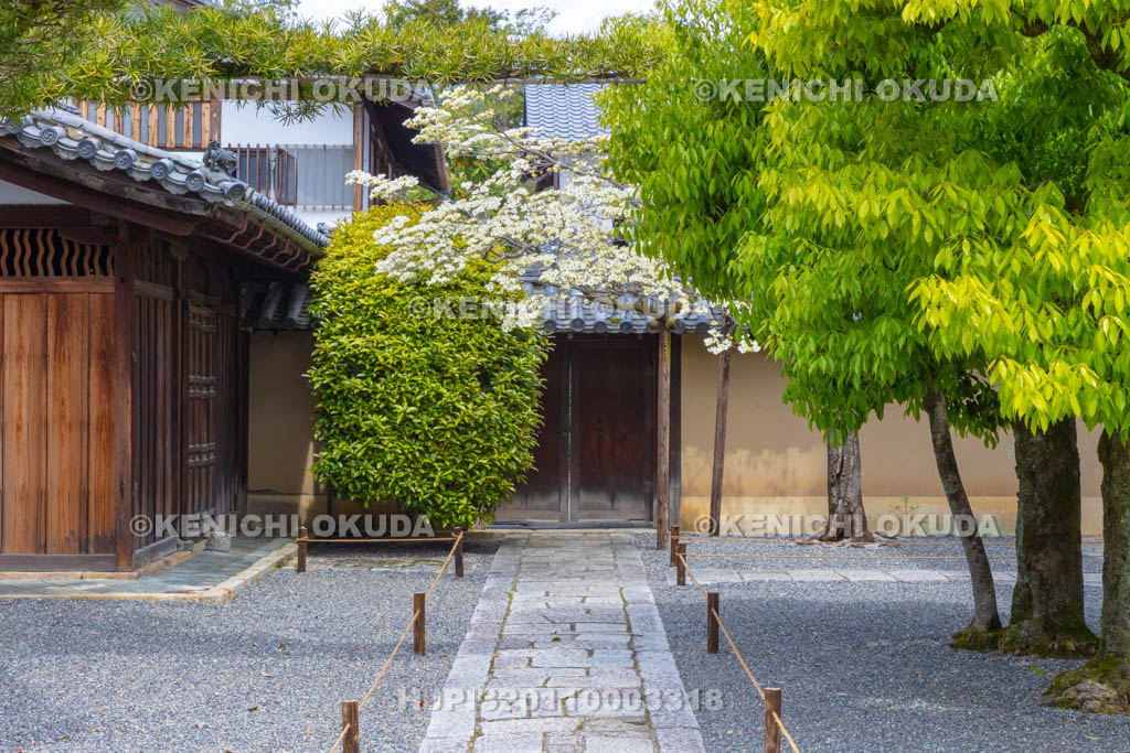 京都府　大徳寺　宗務本所